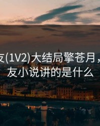 限定室友(1V2)大结局擎苍月，限定好友小说讲的是什么