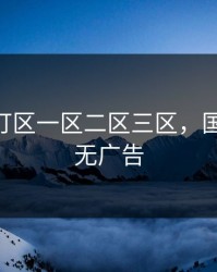 国产红灯区一区二区三区，国产一区 无广告