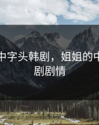 姐姐的中字头韩剧，姐姐的中字头韩剧剧情