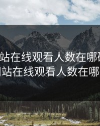免费网站在线观看人数在哪破解版，免费网站在线观看人数在哪破解版