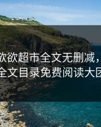情欲情欲欲超市全文无删减，情绪超市全文目录免费阅读大团结