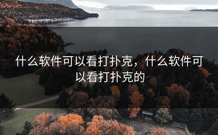 什么软件可以看打扑克，什么软件可以看打扑克的