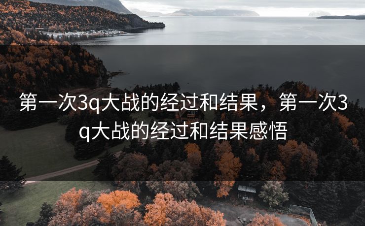 第一次3q大战的经过和结果，第一次3q大战的经过和结果感悟