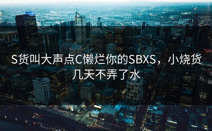 S货叫大声点C懒烂你的SBXS，小烧货几天不弄了水