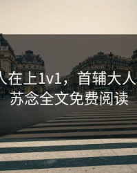 首辅大人在上1v1，首辅大人在上1v1苏念全文免费阅读